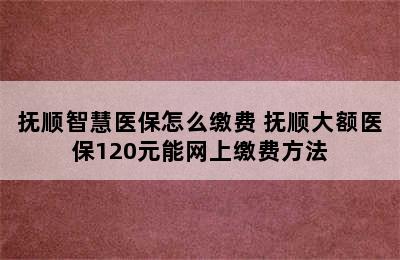 抚顺智慧医保怎么缴费 抚顺大额医保120元能网上缴费方法